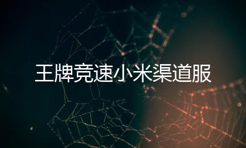 王牌竞速小米渠道服