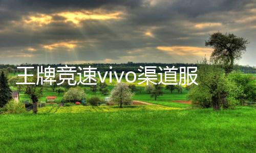 王牌竞速vivo渠道服