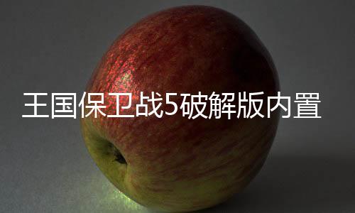 王国保卫战5破解版内置修改器