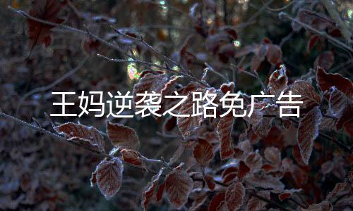 王妈逆袭之路免广告