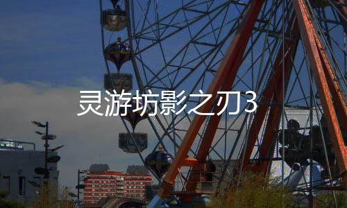 灵游坊影之刃3