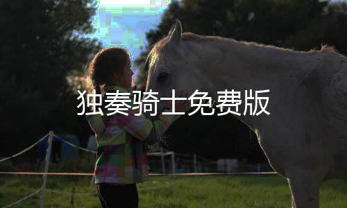 独奏骑士免费版