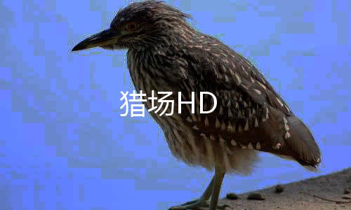 猎场HD