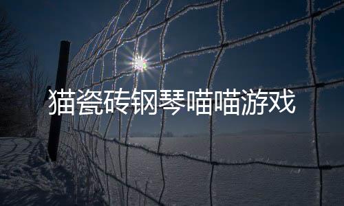 猫瓷砖钢琴喵喵游戏