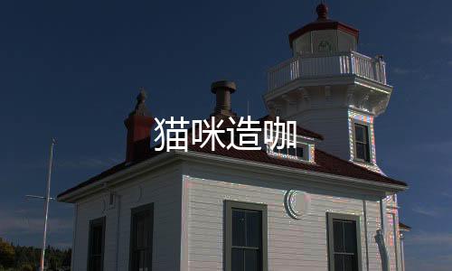 猫咪造咖