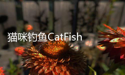 猫咪钓鱼CatFish手游官方版