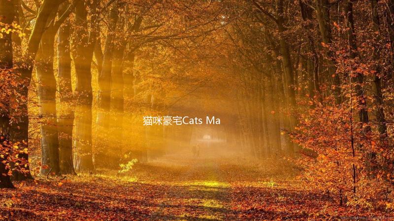 猫咪豪宅Cats Mansion