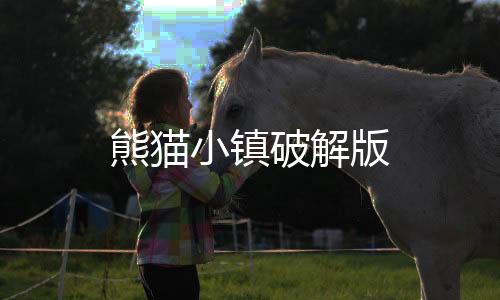 熊猫小镇破解版