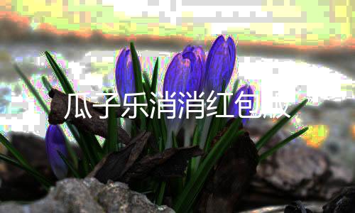 瓜子乐消消红包版