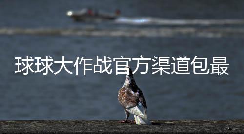 球球大作战官方渠道包最新版