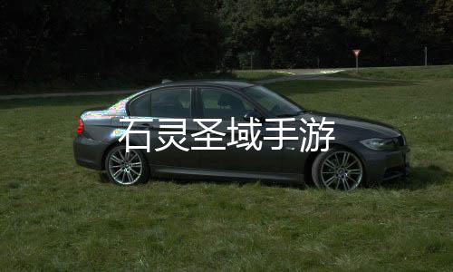 石灵圣域手游