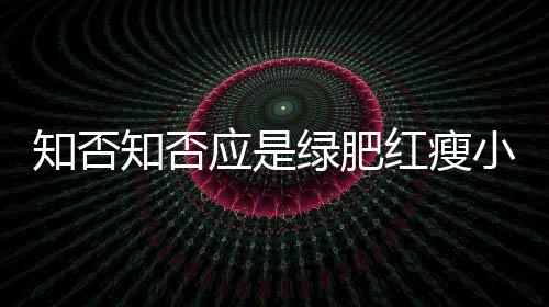 知否知否应是绿肥红瘦小游戏