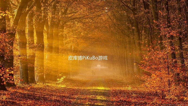 皮库博PiKuBo游戏完整版3D立体数独