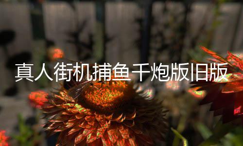 真人街机捕鱼千炮版旧版