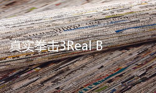真实拳击3Real Boxing 3官方版