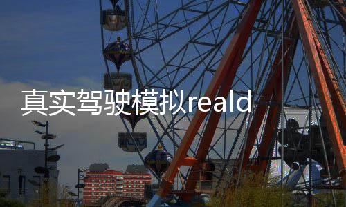 真实驾驶模拟realdrivingsim最新版2024