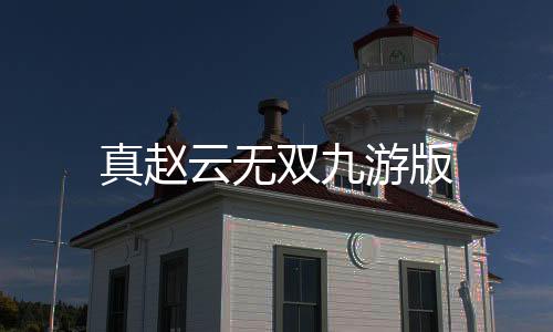 真赵云无双九游版