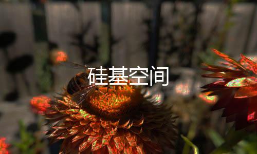 硅基空间