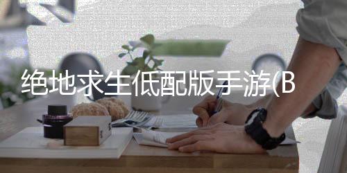 绝地求生低配版手游(BETA PUBG MOBILE LITE)