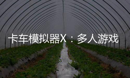 卡车模拟器X：多人游戏免广告