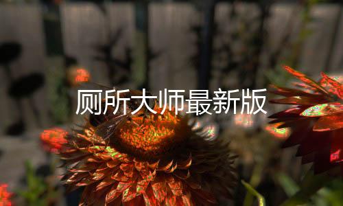 厕所大师最新版
