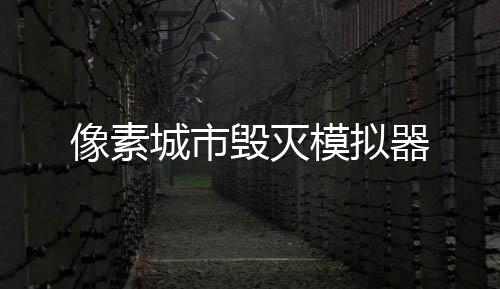 像素城市毁灭模拟器