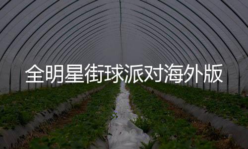 全明星街球派对海外版