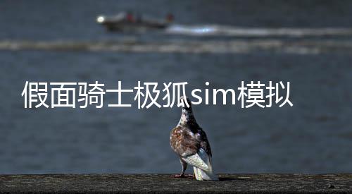 假面骑士极狐sim模拟器官方版