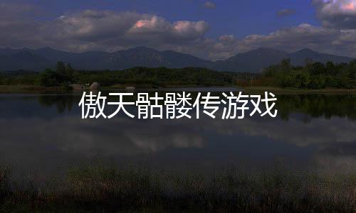 傲天骷髅传游戏