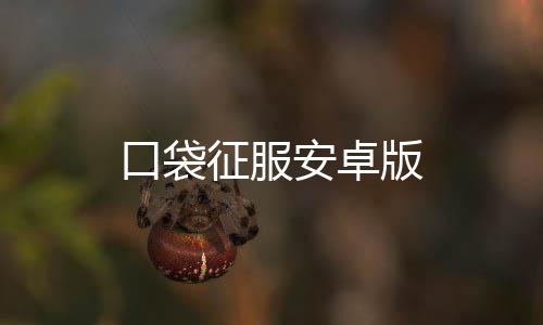 口袋征服安卓版