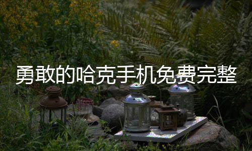 勇敢的哈克手机免费完整版
