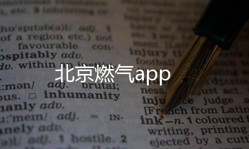 北京燃气app
