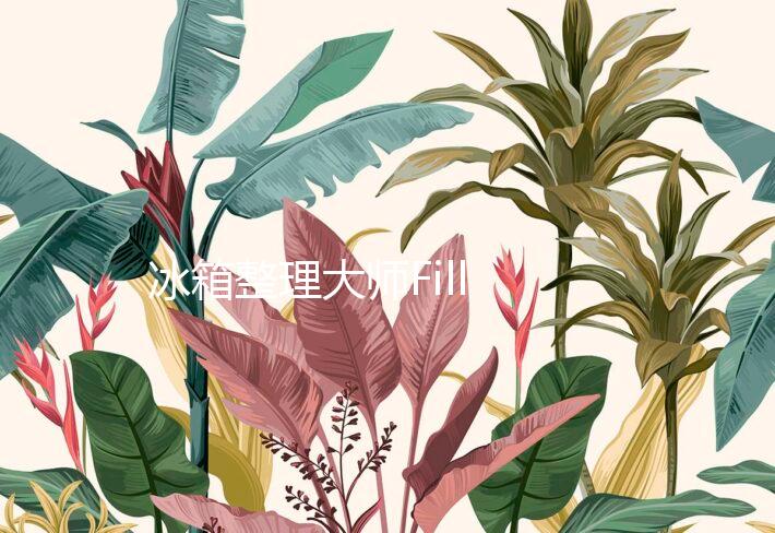 冰箱整理大师Fill The Fridge游戏
