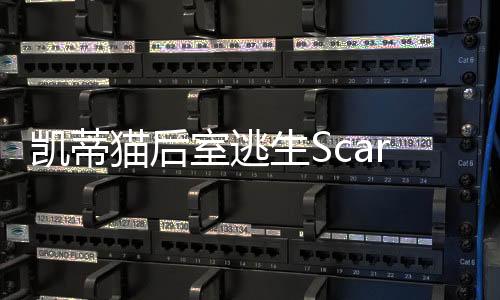 凯蒂猫后室逃生Scary Kitty Escape中文版最新版