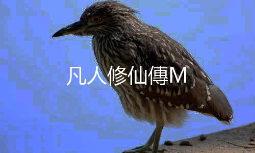 凡人修仙傳M