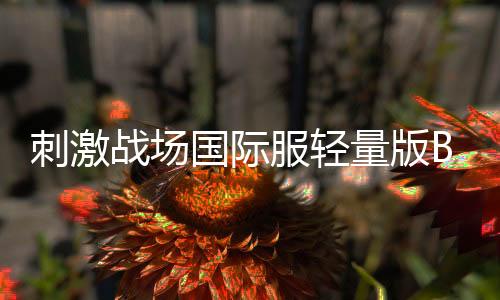 刺激战场国际服轻量版BETA PUBG MOBILE LITE