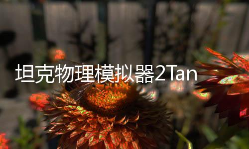 坦克物理模拟器2Tank Physics Mobile 02最新版
