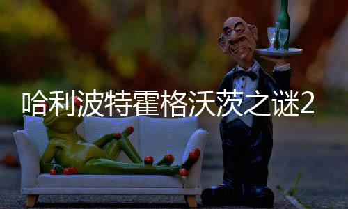 哈利波特霍格沃茨之谜2024