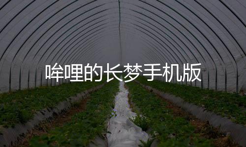 哞哩的长梦手机版