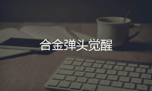 合金弹头觉醒