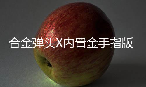 合金弹头X内置金手指版