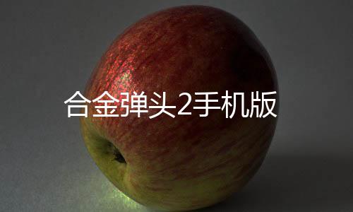 合金弹头2手机版