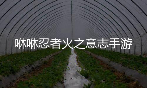咻咻忍者火之意志手游