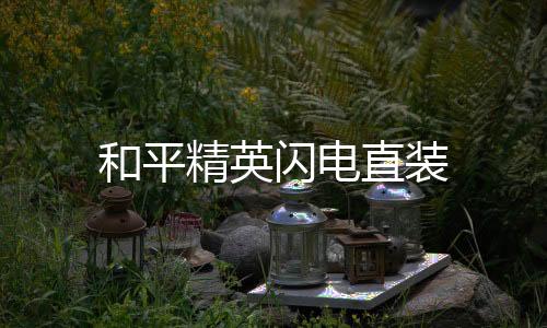 和平精英闪电直装