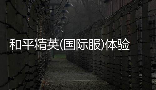 和平精英(国际服)体验服
