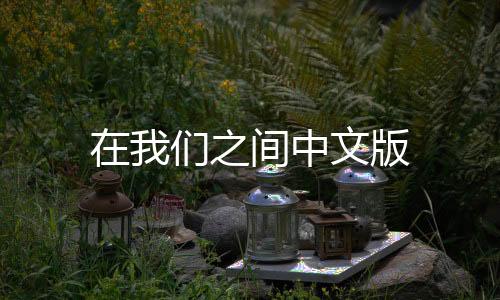 在我们之间中文版