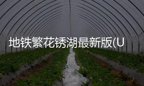 地铁繁花锈湖最新版(Underground Blossom)
