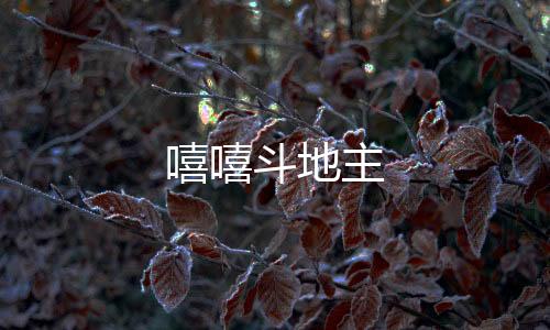嘻嘻斗地主