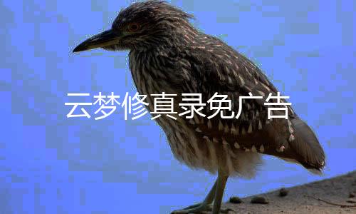 云梦修真录免广告