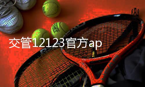 交管12123官方app
